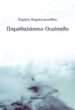 Ειρήνη Καραγιαννίδου - Παραθαλάσσιο Οικόπεδο